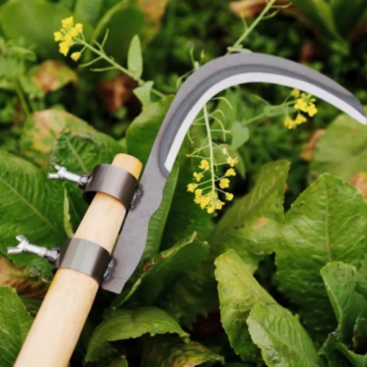 AgroTool, řezačka větví, plevele, trnů a vegetace - Image 5