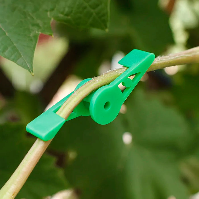 AnglePlant, klipy na řízení růstu rostlin (30 kusů) - Image 3