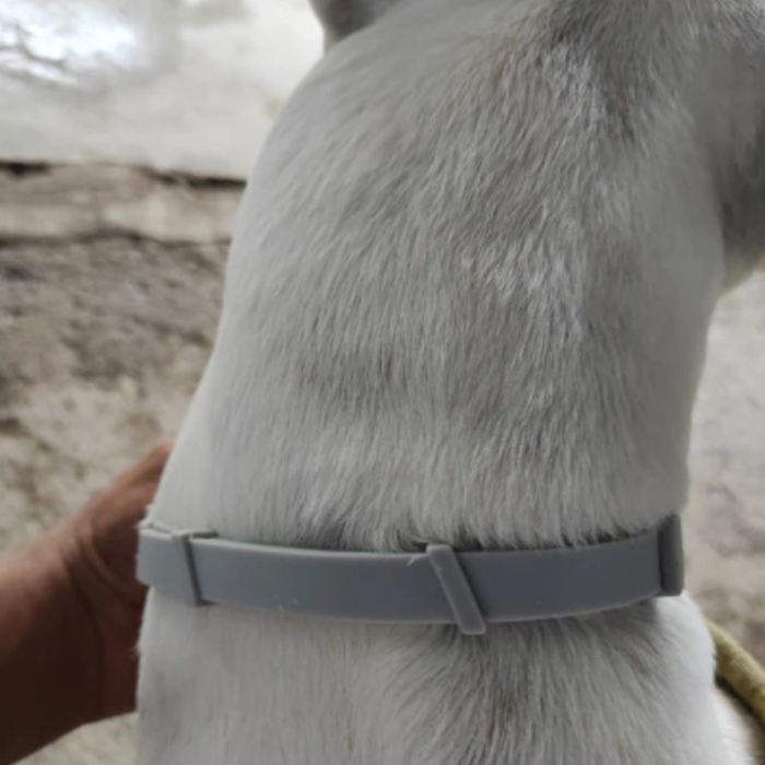 AnimalProtect, obojek proti klíšťatům a blechám pro psy - Image 2