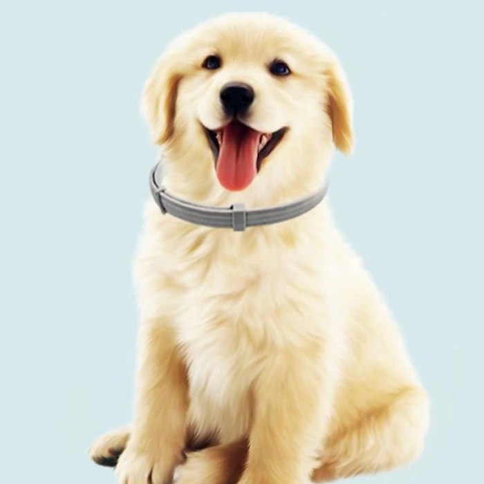 AnimalProtect, obojek proti klíšťatům a blechám pro psy - Image 9