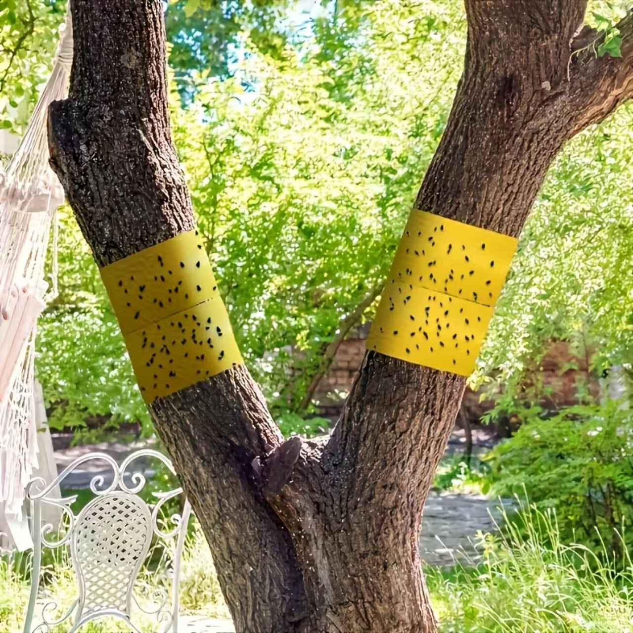 BarrierTape, lepicí páska na chytání hmyzu - Image 3
