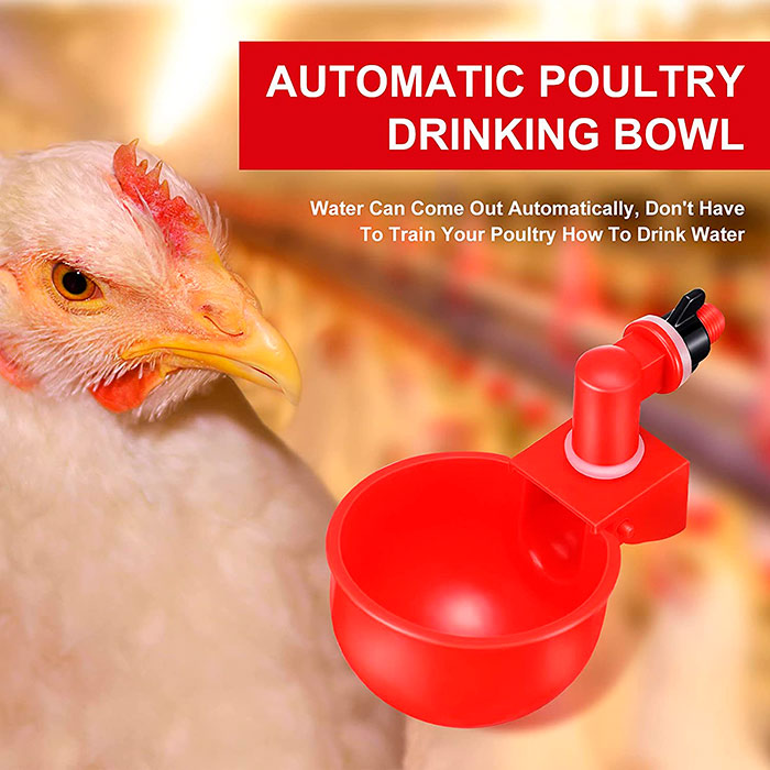 ChickenBowl, napáječka pro slepice a jinou drůbež (6 kusů) - Image 4