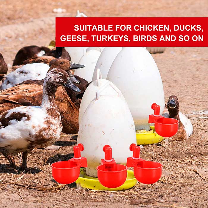 ChickenBowl, napáječka pro slepice a jinou drůbež (6 kusů) - Image 5