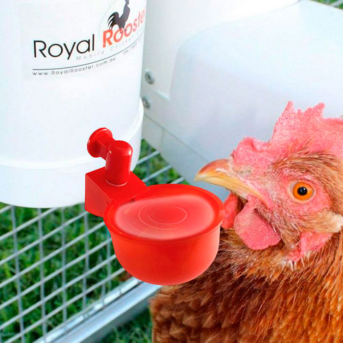 ChickenBowl, napáječka pro slepice a jinou drůbež (6 kusů) - Image 9