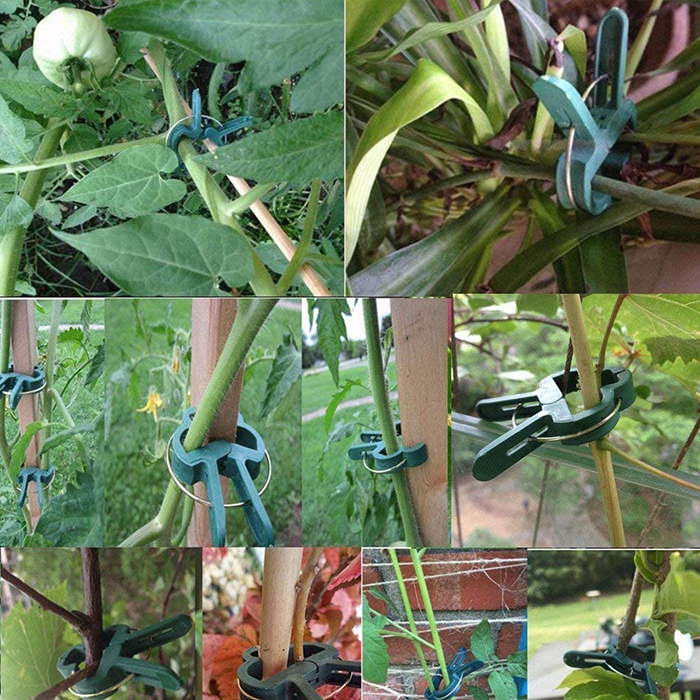ClampsGarden, užitečné a odolné sponky pro různé rostliny venku i uvnitř (20 ks) - Image 5
