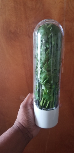 HerbFresh, úložný kontejner na koření a další čerstvé potraviny - Image 10