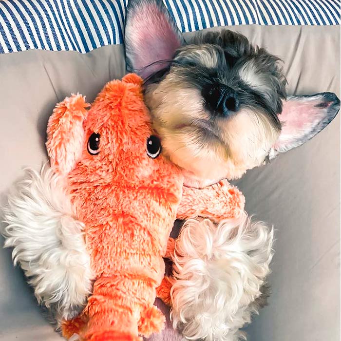 LobsterToy, interaktivní hračka ve tvaru humra - Image 3