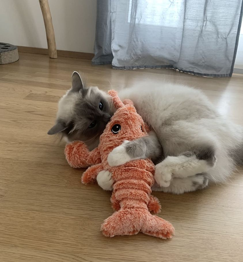 LobsterToy, interaktivní hračka ve tvaru humra - Image 10