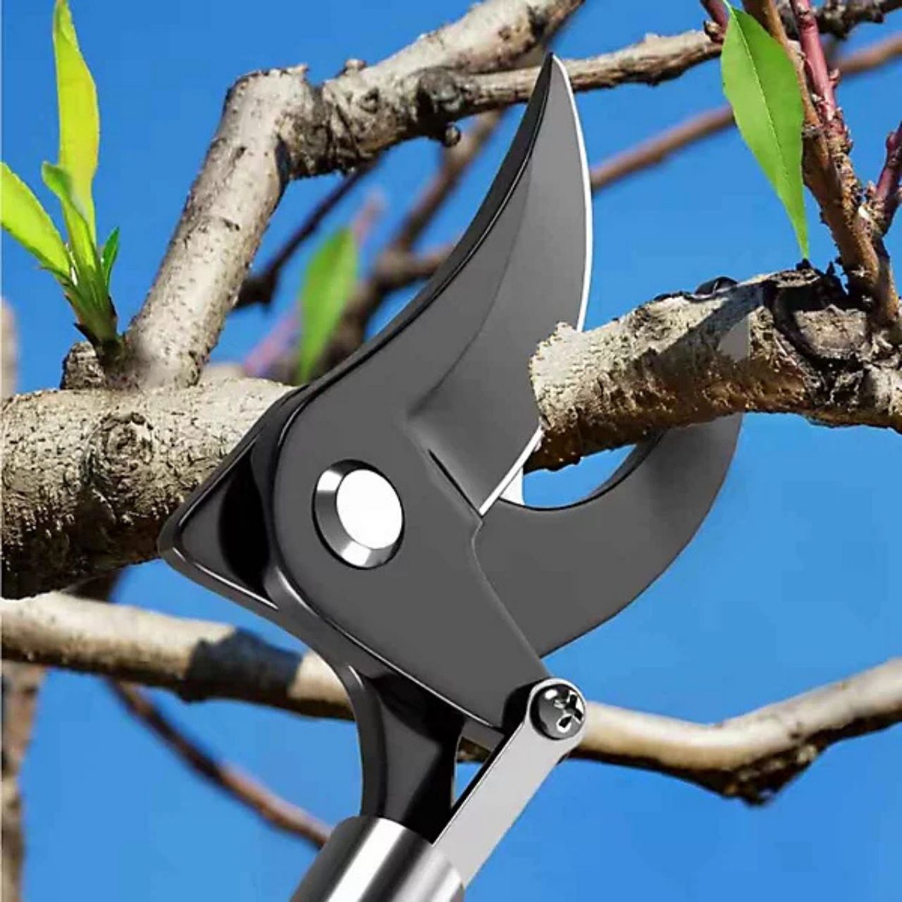 LongShears, nůžky na větve - Image 2