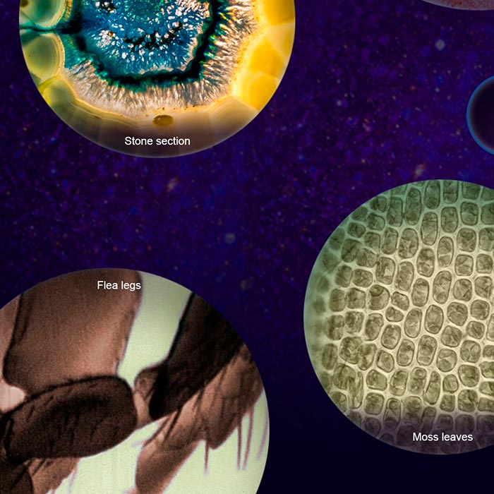 MicroscopeKit, přenosný dětský mikroskop - Image 9