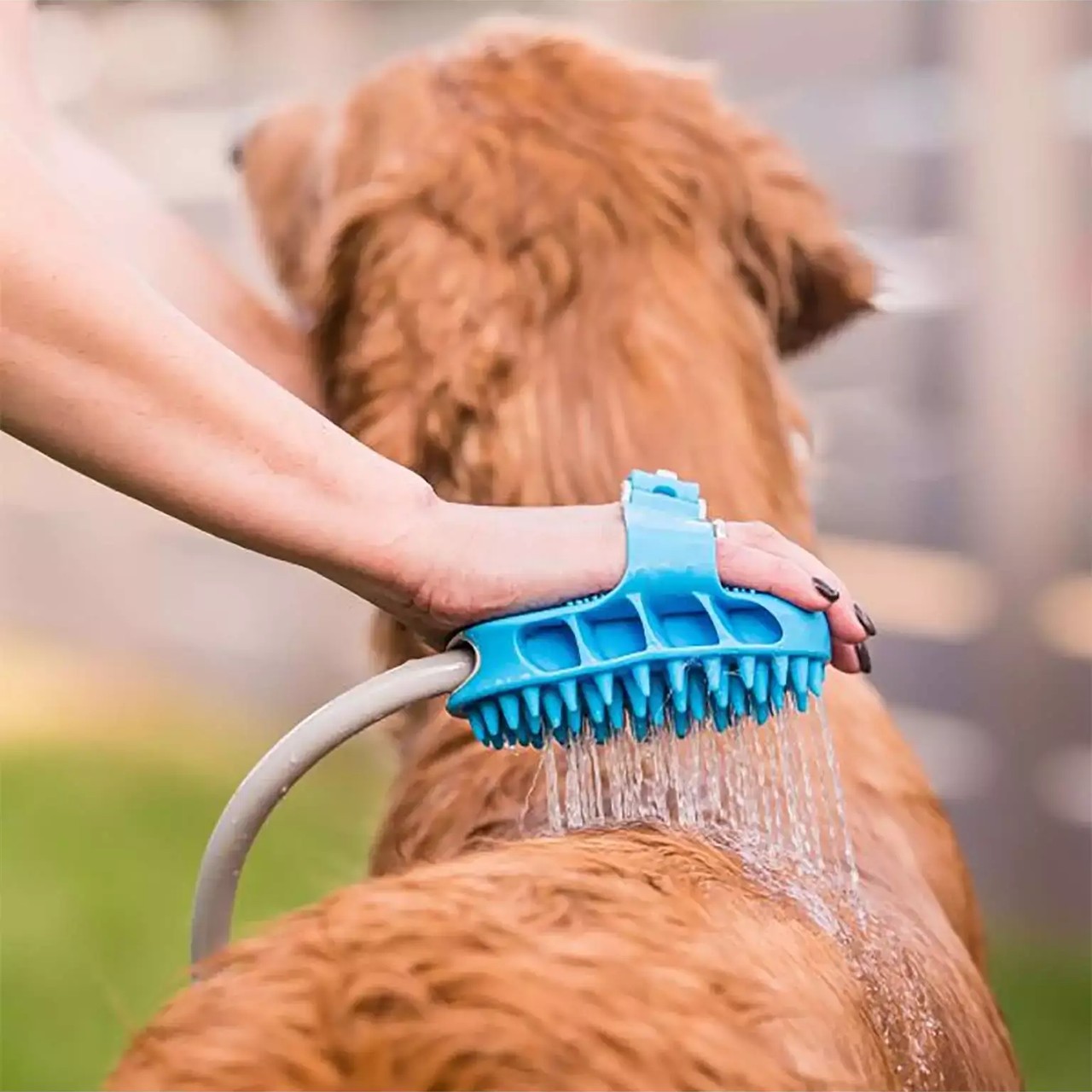 PawBath, víceúčelová masážní kartáč na koupání domácích mazlíčků - Image 8