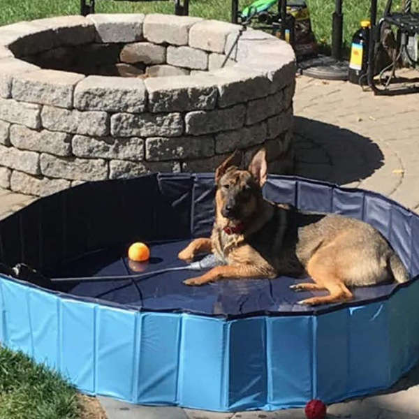 PawlyPool, skládací bazén pro děti a domácí mazlíčky - Image 3