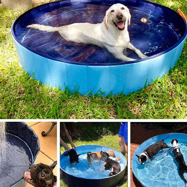 PawlyPool, skládací bazén pro děti a domácí mazlíčky - Image 5
