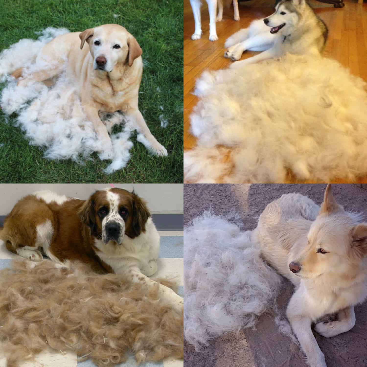 NA OBDOBÍ VÝMĚNY SRSTI