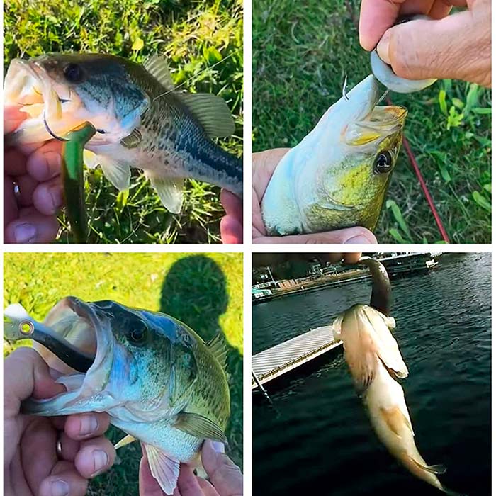 SoftLures, návnada na ryby (5 kusů) - Image 6