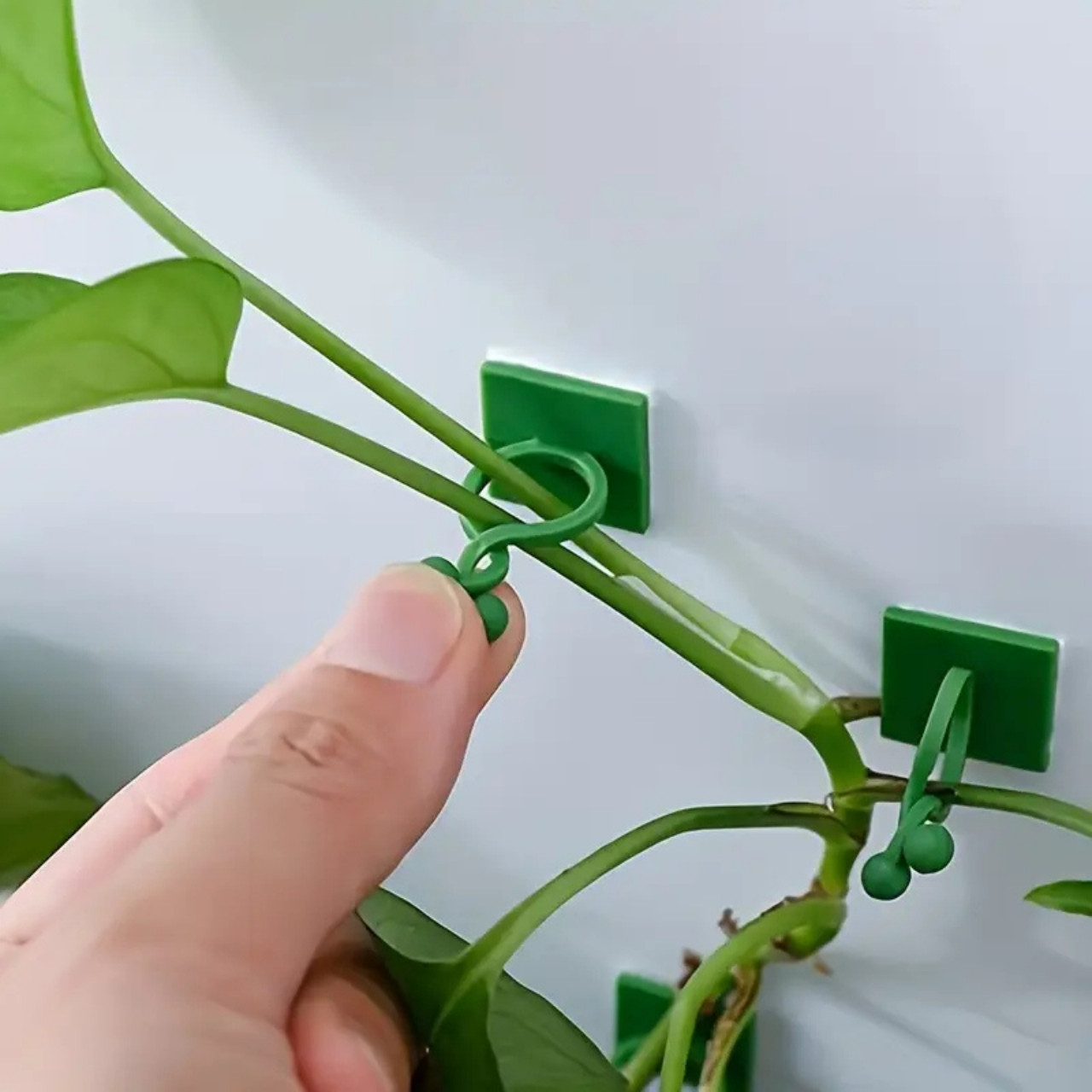 Vines, samolepicí držáky rostlin a popínavé rostliny (100 kusů) - Image 3