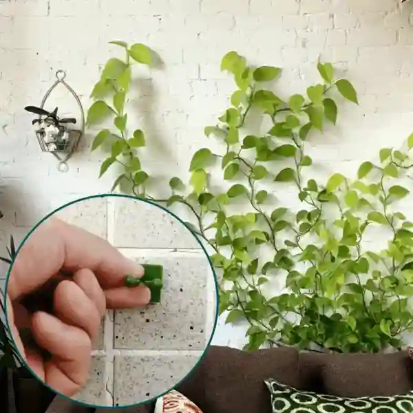 Vines, samolepicí držáky rostlin a popínavé rostliny (100 kusů) - Image 9